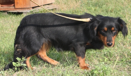 silvinka-2.jpg