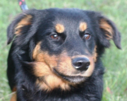 simon-413-12-4.jpg