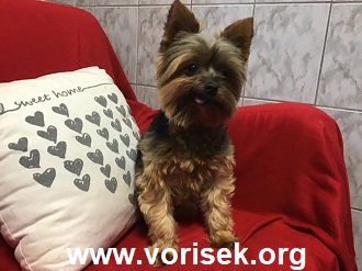 suelin-1510-20-2.jpeg