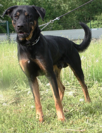 thor-0497-13-2.jpg