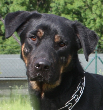 thor-0497-13-3.jpg