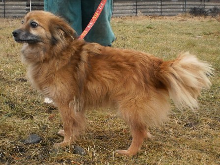 timon-458-13-2.jpg