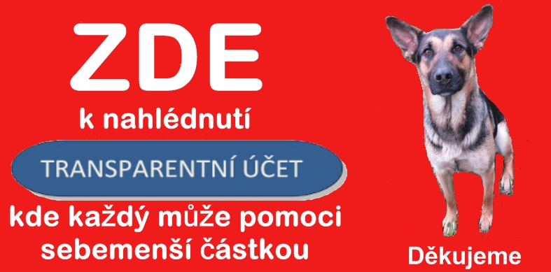 transparentni-ucet.jpg