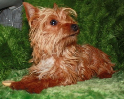 twix-727-14-2.jpg