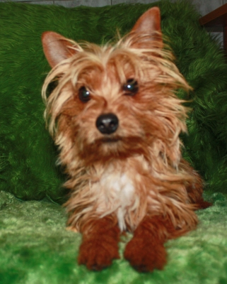 twix-727-14-3.jpg