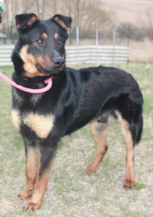 viktor-285-12-3-2.jpg