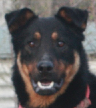 viktor-285-12-4-2.jpg