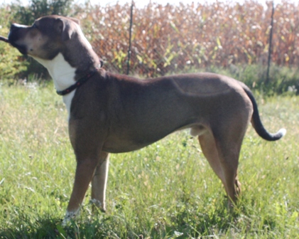 zoe-2.jpg
