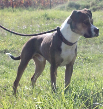 zoe-3.jpg