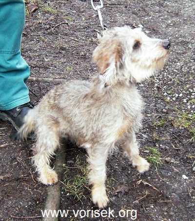 zofinka-1.jpg