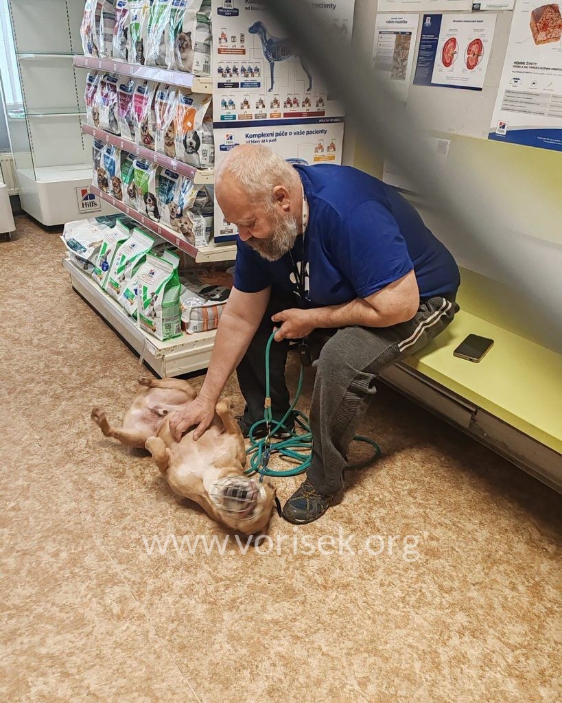 Náš Dantík na veterině
